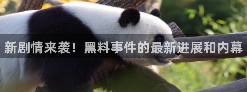 吃瓜真相信息核验