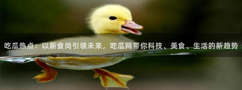 吃瓜爆料后续进展