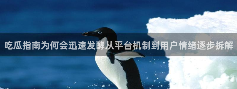 吃瓜真相公开回应