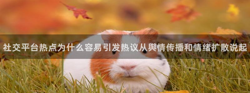 吃瓜后续进展