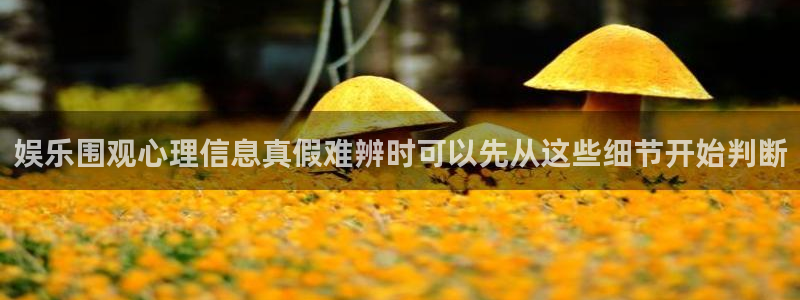 网络热点原始出处