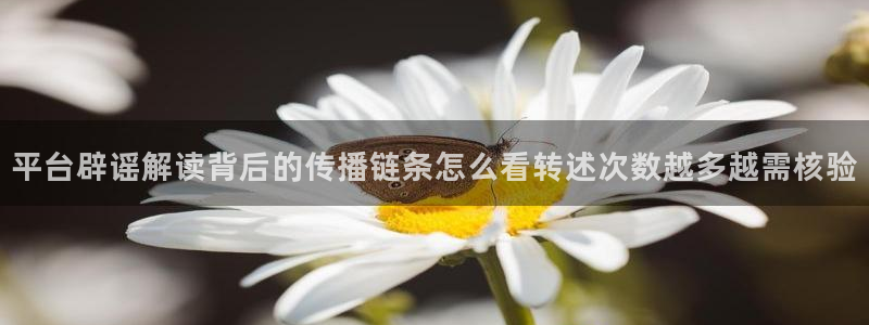 吃瓜新闻今日更新