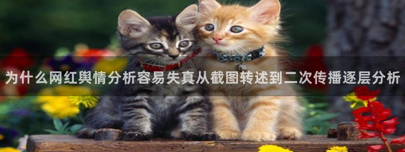 吃瓜新闻事件始末
