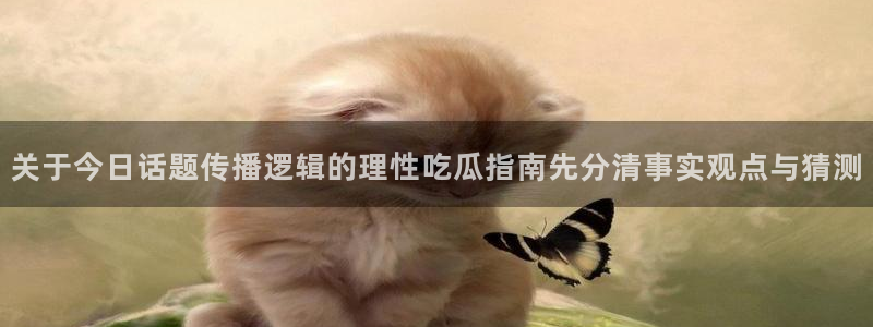 吃瓜新闻事件始末
